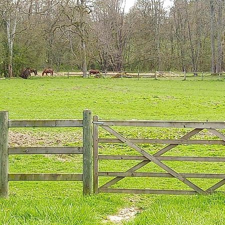 L'Ancien Prieure Bed and Breakfast Lorrez-le-Bocage-Preaux Buitenkant foto