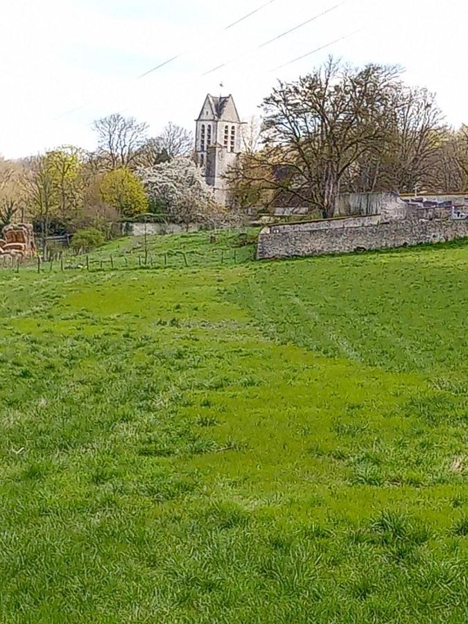 L'Ancien Prieure Bed and Breakfast Lorrez-le-Bocage-Preaux Buitenkant foto