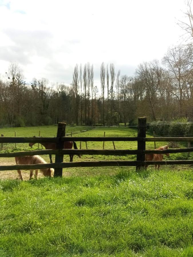 L'Ancien Prieure Bed and Breakfast Lorrez-le-Bocage-Preaux Buitenkant foto